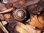 D0010038.JPG
