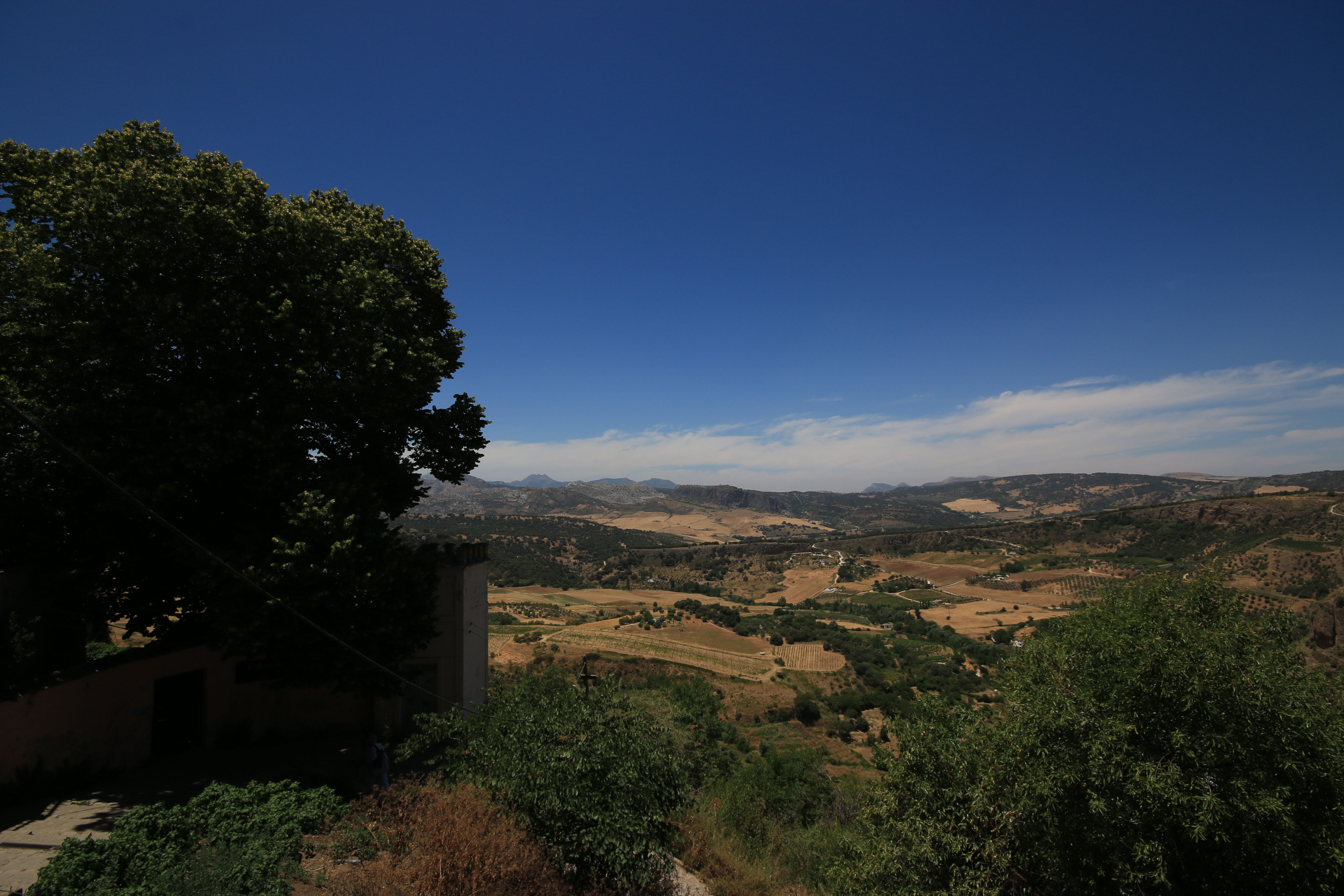 Natur 01